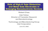 Role of High-K Gate Dielectrics and Metal Gate Electrodes in Emerging Nanoelectronic ... · 1 Role of High-K Gate Dielectrics and Metal Gate Electrodes in Emerging Nanoelectronic