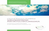 Clinical Practice Guideline WALDENSTRÖM …. Australia.pdfClinical Practice Guideline WALDENSTRÖM MACROGLOBULINAEMIA 1 INTRODUCTION Waldenström Macroglobulinaemia (WM) is a B-cell