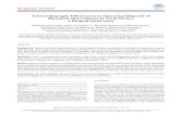 Echocardiography Effectiveness in Improving Diagnosis of ...publine.xiahepublishing.com/journals/10.14218/ERHM.2019.00020.pdf · Daralsalam Ishag Ateem Abdalrasoul 1, Ibrahim Adam