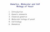 Genetics, Molecular and Cell Biology of Yeast · Genetics, Molecular and Cell Biology of Yeast 1. Introduction 2. Genetic elements 3. Classical genetics 4. Molecular biology of yeast