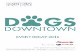 EVENT RECAP 2016 - downtownrochestermn.com · Unique Pageviews: 3,810 (vs. 3,296 +15.59% YOY) Date Range: May 1 – August 8, 2016 (same date range as 2015) PB.com Banner Ad o July