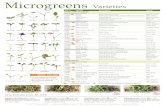 Microgreens Varieties - Johnny's Selected Seeds · Microgreens Varieties 1-877-564-6697 • Johnnyseeds.com • 955 Benton Avenue, Winslow, Maine 04901 J — Organically grown seed