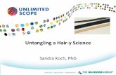 Untangling a Hair-y Science - McCroneUntangling a Hair-y Science Sandra Koch, PhD What’s so special about hair? Hair is one of the defining features of mammals –Protection –Thermoregulation