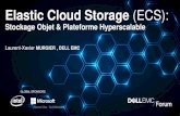 Elastic Cloud Storage (ECS) - Dell · to tape * DA price. Pending corp pricing approval, planned GA price could be lower ** Based on 3-year TCO period • Min: 4.5PB raw (D4500) •
