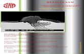 Revista SAM Sep-2007 Vol 4 Num ULTIMAmateriales-sam.org.ar/sam/wp-content/uploads/2017/11/2007-Num2.… · REVISTA SAM PUBLICACIÓN DE LA ASOCIACIÓN ARGENTINA DE MATERIALES Septiembre