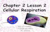 Chapter 2 Lesson 2 Cellular Respiration - as253.k12.sd.usas253.k12.sd.us/7th Homework Documents/Cells and... · Chapter 2 Lesson 2 Cellular Respiration Cells and Heredity 7th Grade