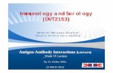 Immunology and Serology (DVT2153) · YOUR LOGO Antigen-Antibody Interactions The binding of antibody to antigen is a reversible process, involving non-covalent bonds The specific