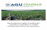 Hydrogeomorphic Feedbacks and Sea Level Rise in Tidal Freshwater River Ecosystems · 2019-10-17 · AGU Chapman Conference on Hydrogeomorphic Feedbacks and Sea Level Rise in Tidal