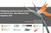 Mapping environmental sensitivities to inform the the Phased …biodiversityadvisor.sanbi.org/wp-content/uploads/2019/01/... · 2019-01-18 · Mapping environmental sensitivities