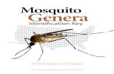 Mosquito Genera - United States Army Resource Library...Identifying local mosquito genera is essential when establishing and carrying out control measures. This key uses characteristics,