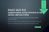 Quiz 42, Understanding Motor SystemsSR - SNACC · A. CORTICOSPINAL TRACT This is true. Axons from the corticospinal tract (CST)or pyramidal tract carry information from the precentral