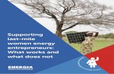Supporting women energy entrepreneurs: What works and what ...€¦ · women entrepreneurs - 56 4 Learning and practicing entrepreneurship: What is needed? - 59 4.1 Teaching and practicing