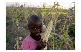 Toward a Poverty Strategy in Post Crisis Zimbabwe€¦ · Emerging Scenarios for Poverty Reduction Agriculture-led strategy Urban industry driven strategy. Agriculture‐led Strategy