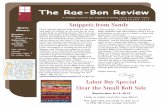 The Rae-Bon Review - Amazon Web Services · Scan N Cut with Heat Transfers Decorate shirts, pillows, bags, anything you can iron with heat transfer vinyl. Possibilities are endless.