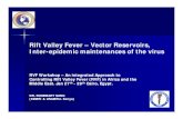 Rift Valley Fever Rift Valley Fever –– Vector …...Rift Valley Fever Rift Valley Fever –– Vector Reservoirs, Vector Reservoirs, Inter-epidemic maintenances of the virusepidemic