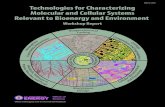 Technologies for Characterizing Molecular and Cellular · Technologies for Characterizing Molecular and Cellular Systems Relevant to Bioenergy and Environment Workshop September 21–23,