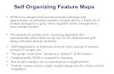 Self Organizing Feature Maps - 2011-11-30آ  Self Organizing Feature Maps SOM is an unsupervised neural