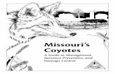 Missouri's Coyotes, A Guide to Management, …understanding of the wildlife species involved. This booklet is designed to help readers understand coyote behav-ior. It also offers preventative
