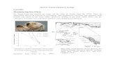 Laroche: Disappearing Sea Otters - Vanier 2014-12-05آ  Laroche: Disappearing Sea Otters . Dr. James