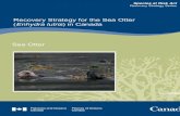Recovery Strategy for the Sea Otter (Enhydra lutris) in Canada · Recovery Strategy for the Sea Otter (Enhydra lutris) in Canada. Species at Risk Act Recovery Strategy Series. ...