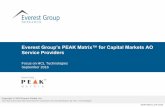 Everest Group’s PEAK Matrix™ for Capital Markets AO ...€¦ · Everest Group’s assessment of HCL Technologies’ delivery capability and market success on PEAK Matrix Detailed