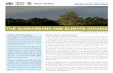 THE SUNDARBANS AND CLIMATE CHANGE - CMS...migratory Hilsa (Tenualosa ilisha). Not only is this region rich in biodiversity, but it is also important for four million humans, who reside