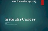 Testicular Cancer - Department of Surgery at SUNY ...Testicular cancer is an uncommon but highly treatable cancer Germ-cell tumors comprise >95% of testicular cancers Tumors with seminoma
