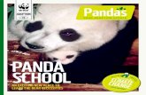 PANDA SCHOOLawsassets.wwfhk.panda.org/downloads/wwf_animal... · PANDA SCHOOL AN EXCITING NEW PLACE TO LEARN THE BEAR NECESSITIES Pandas YOUR ADOPTION UPDATE N TE E A L S O I N S