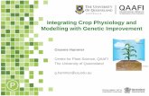 Integrating Crop Physiology and Modelling with Genetic ...communications.ext.zalf.de/.../PDFDocuments/10_hammer_ppt_keyn… · We cannot predict (and navigate to) the desired destination