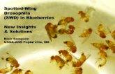Spotted-Wing Drosophila (SWD) in Blueberries New Insights ... · Spotted-Wing Drosophila (SWD) in Blueberries New Insights & Solutions Blair Sampson ... Donna Marshall Steve Stringer