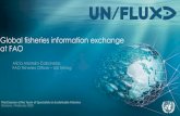Global fisheries information exchange at FAOCombattingIUU fishing – Global Infoexchange 4 February 2020 Third Session of the Team of Specialists on Sustainable Fisheries 8 Information