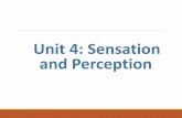 Unit 4: Sensation and Perceptionsneedpsych.weebly.com/uploads/8/2/4/4/82446160/unit_4.pdfPerception a process of organizing and interpreting sensory information, ... Our sensory and