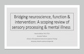 Bridging neuroscience, function & intervention: A scoping ...congress2018.wfot.org/downloads/presentations/SE20/baillard.pdf · Bridging neuroscience, function & intervention: A scoping