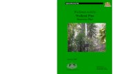 Wollemi Pine Recovery Plan...Approved Recovery Plan Wollemi Pine (Wollemia nobilis)Wollemi Pine Recovery Plan Executive Summary This document constitutes the formal Commonwealth and
