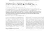 Nucleosome stability mediated by histone variants H3.3 and H2Agenesdev.cshlp.org/content/21/12/1519.full.pdf · Nucleosome stability mediated by histone variants H3.3 and H2A.Z ...