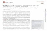 Staphylococcal Superantigens Stimulate Epithelial Cells ... · use of a CRISPR-Cas9 CD40 knockout, that the superantigens toxic shock syndrome toxin 1 (TSST-1) and staphylococcal