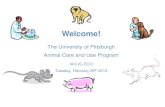 IACUC Application and Review · • Association for the Assessment and Accreditation of Laboratory Animal Care (AAALAC) : – AAALAC International is a private, nonprofit organization