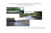 Dam Removal and Barrier Mitigation in New York State · Dam Removal and Barrier Mitigation In New York State Final Draft Guidance for Dam Owners and ... and the United States Army