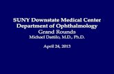 SUNY Downstate Medical Center Department of Ophthalmology · SUNY Downstate Medical Center Department of Ophthalmology Grand Rounds Michael Dattilo, M.D., Ph.D. April 24, 2013