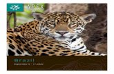 Brazil Amazon | Pantanal Tours | Brochure 2020 | Apex ... · In fact, Brazil boasts the highest natural diversity of any country on Earth and yet few have even scratched the surface