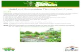 Guild and Companion Planting Fact Sheet Guild and Companion Planting Fact Sheet Guild Guild planting