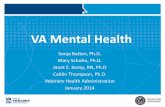 VA Mental Health - Veterans Affairs · Service Users Receiving Specialized Mental Health Care % Service Users Receiving Specialized Mental Health Care : 2005 . 4,710,853 : 873,746