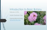 Introduction to Basic Botany Gardeners...Introduction to Basic Botany February 2, 2016 Master Gardener Class Suzanne Braunschweig sbraun@umbc.edu