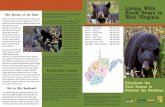 Living With The Return of the Bear Black Bears in … Black Bears in WV...bear population in West Virginia is now considered “statewide,” and bears have been harvested in 46 of