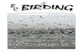 Newsletter of the British Columbia Field Ornithologists · 7 BRITISH COLUMBIA FIELD ORNITHOLOGISTS 20TH ANNUAL CONFERENCE Revelstoke, BC The 20th Annual Conference will be held at