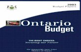 2003 Ontario Budget - archives.gov.on.ca€¦ · œ For 2002 as a whole, Ontario economic growth accelerated to a 3.8 per cent rate after slowing to 1.5 per cent in 2001. The Ontario