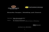 Granular Imager: Modeling and Control - NASA...Granular Imager: Modeling and Control Supervisor: Prof. Francesco Braghin Politecnico di Milano Mentor: Dr. Marco B. Quadrelli Jet Propulsion