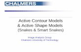 Active Contour Models & Active Shape Models & Active Shape ...webfiles.portal.chalmers.se/s2/undergraduate/SSY095/PDFdocument… · • snakes • deformable templates • dynamic