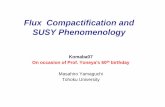 Flux Compactification and SUSY Phenomenologyhep1.c.u-tokyo.ac.jp/workshop/komaba2007/yamaguchi.pdfImplications to Low-E SUSY • Original Motivation of KKLT: realization of dS vacuum