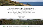 Challenges to Managing Ecosystems Sustainably for Poverty ...€¦ · Ecosystems Sustainably for Poverty Alleviation: Securing Well-Being in the Andes/Amazon Final Report May, 2008